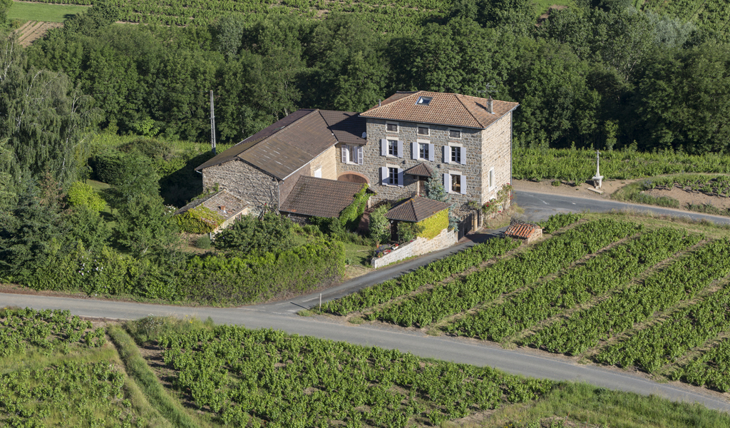 Belles demeures à vendre de 0.3 HA - beaujolais