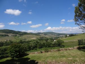 Belles demeures à vendre de 0.37 HA - beaujolais