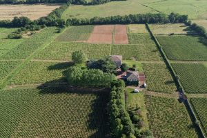 Belles demeures à vendre de 0.4 HA - beaujolais