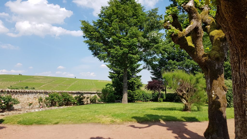 Belles demeures à vendre de 7.21 HA - beaujolais