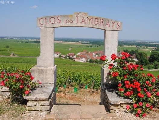 Clos des Lambrays wine estate lvmh