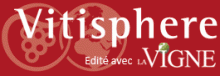 Vitishpère La Vigne