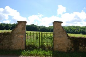 Propriété viticole à vendre de 27.64 HA - bourgogne