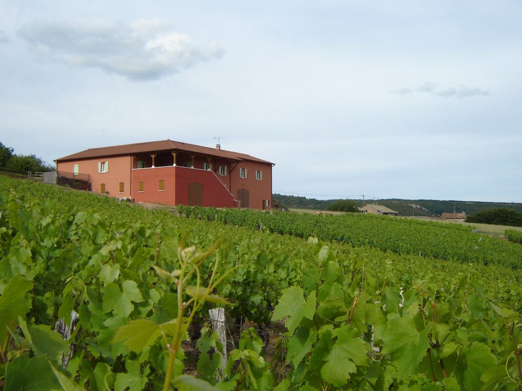 Propriété viticole à vendre de 6 HA - beaujolais