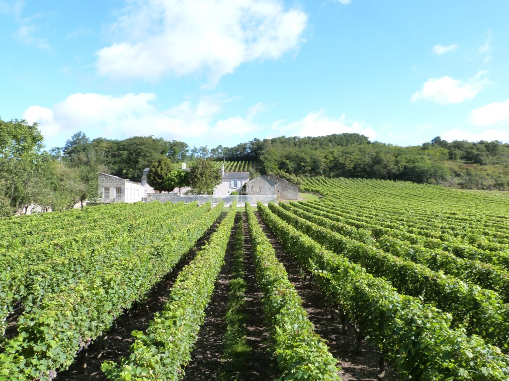 Propriété viticole à vendre de 1.95 HA - Loire - 473 - fr