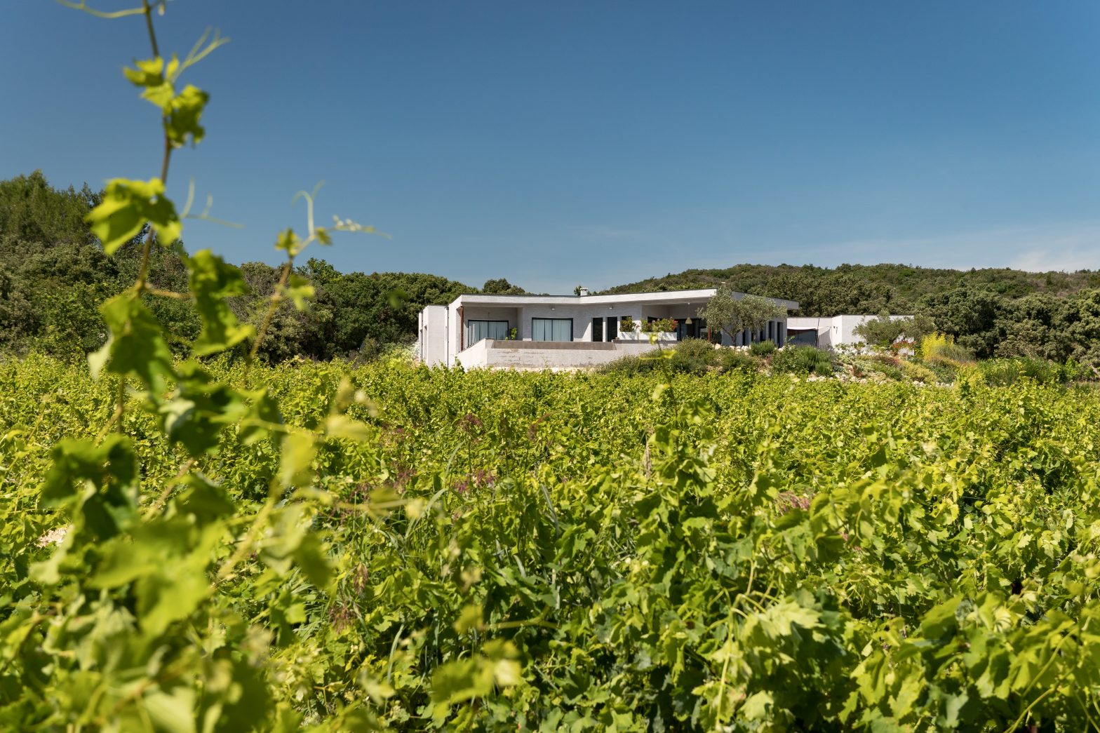 Propriété viticole à vendre de 10 HA - Vallée du Rhone - 1952CDR - fr