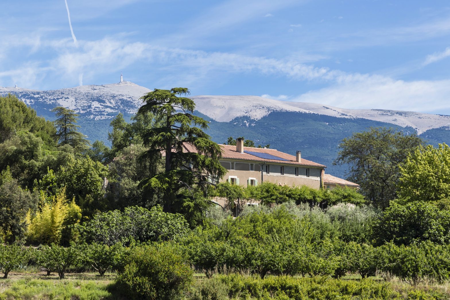 Propriété viticole à vendre de 17 HA - Vallée du Rhone - 1804CDR - fr