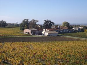 Propriété viticole à vendre de 20 HA - Bordeaux - 18043 - fr
