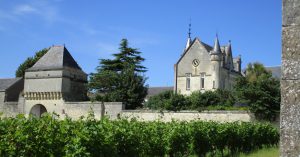 Propriété viticole à vendre de 23 HA - Loire - 16001 - fr
