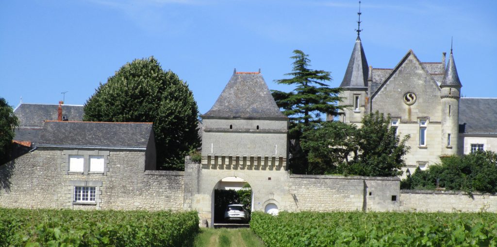 Propriété viticole à vendre de 23 HA - Loire - 16001 - fr