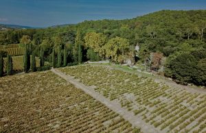 Propriété viticole à vendre de 30 HA - Vallée du Rhone - 1883 CDR - fr