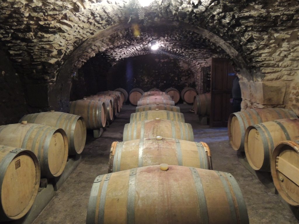 Propriété viticole à vendre de 34 HA - Vallée du Rhone - 1781CDR - fr