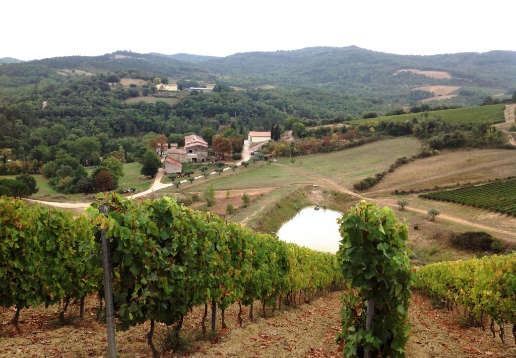Propriété viticole à vendre de 70 HA - Languedoc - 1765LR - fr