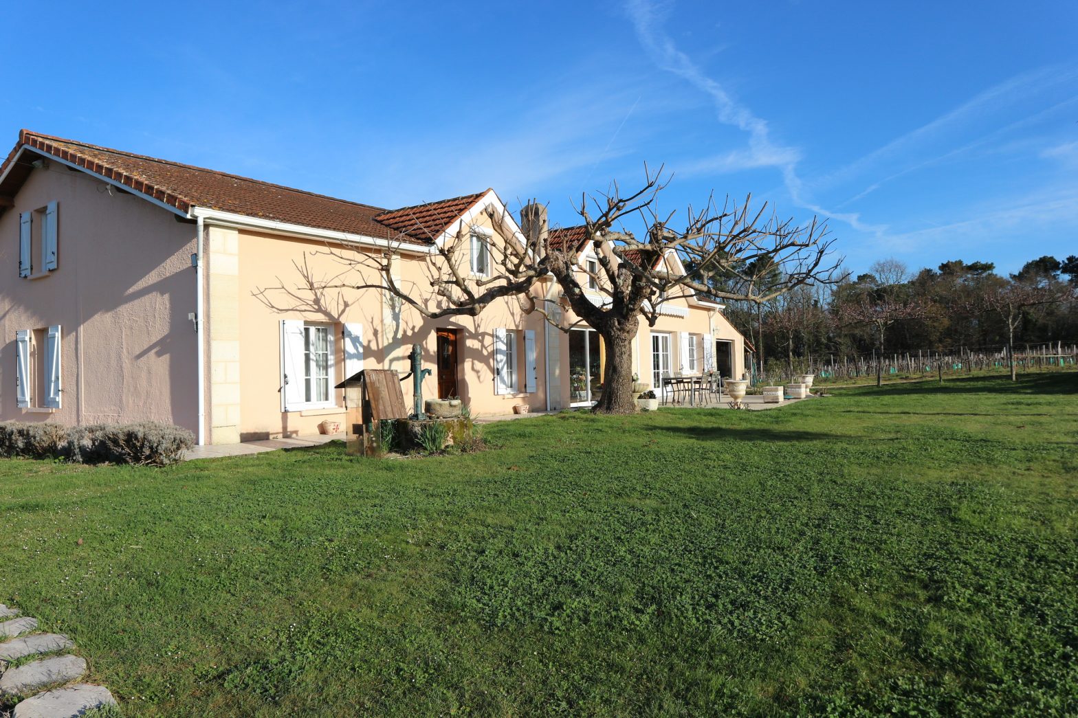 Propriété viticole à vendre de 8.48 HA - Bordeaux - 18048 - fr