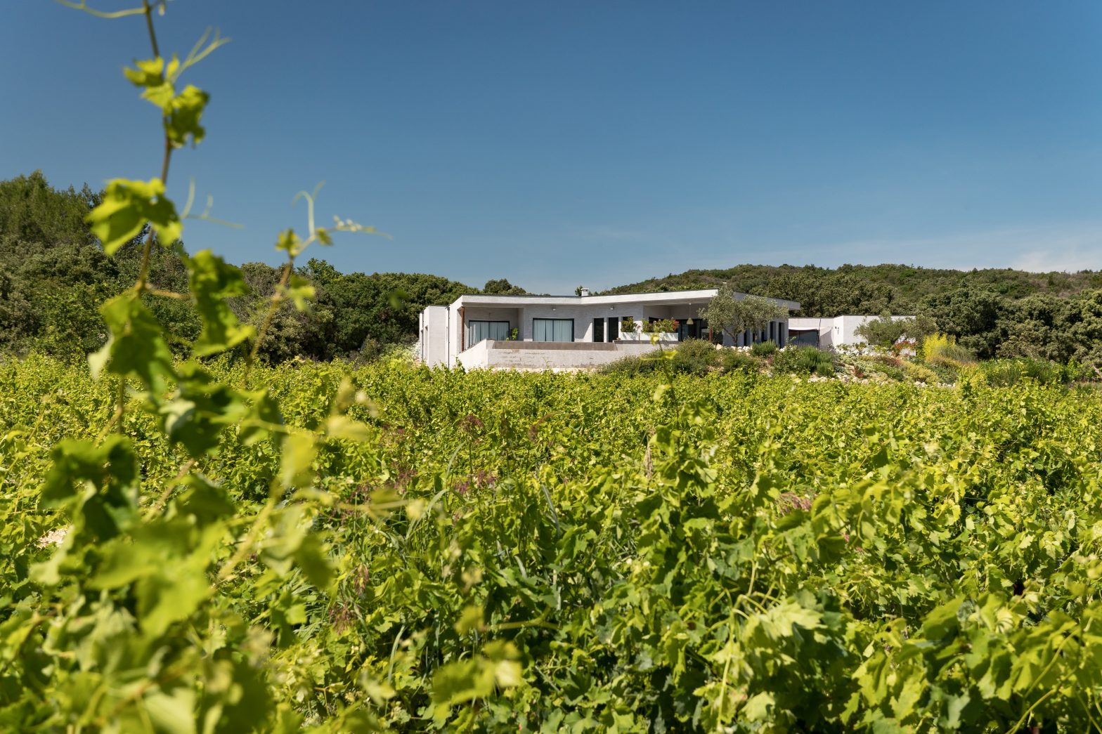Wine Estates to sell of 10 HA - Vallée du Rhone - 1952CDR - en