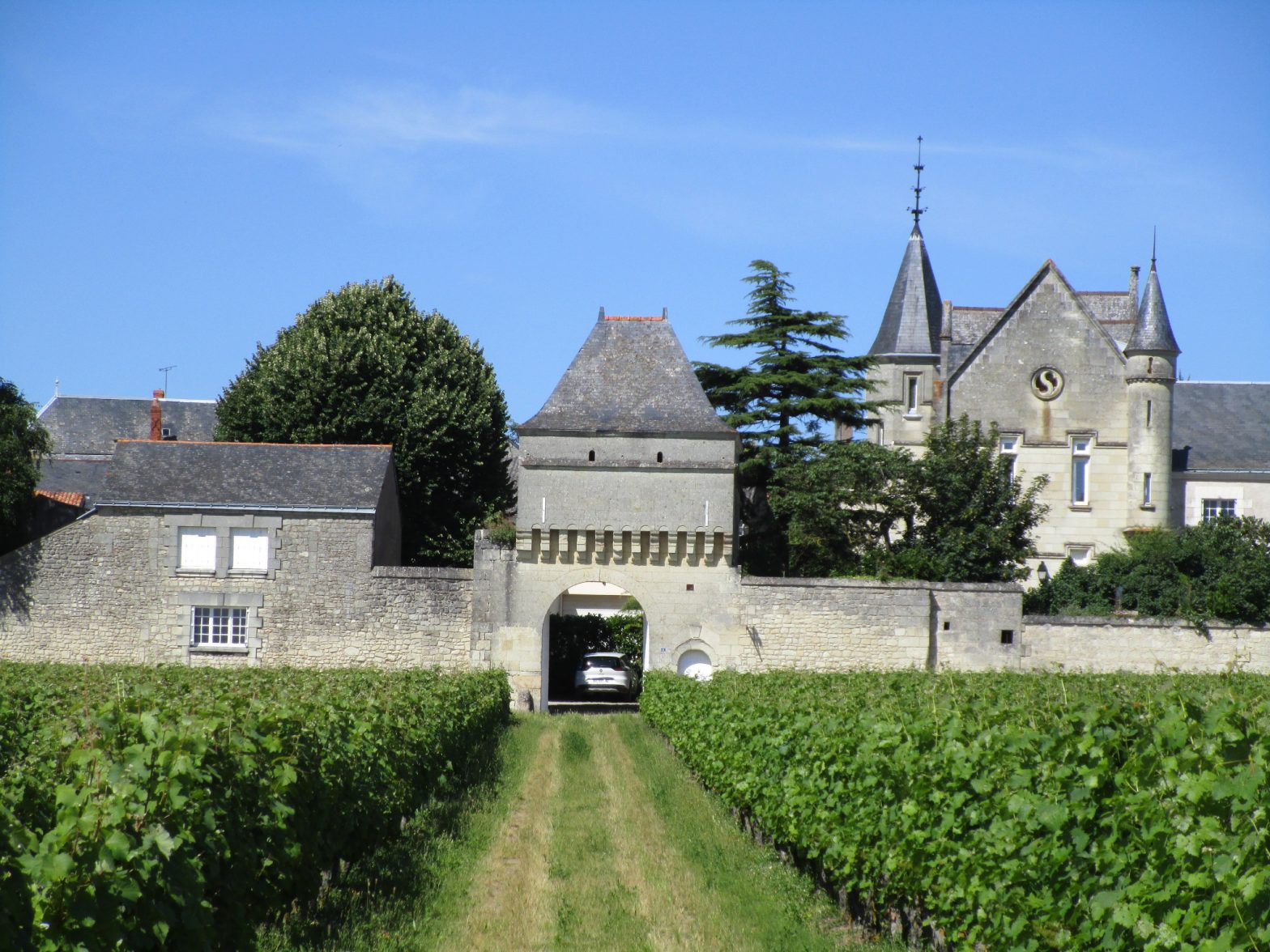 Wine Estates to sell of 23 HA - Loire - 16001 - en