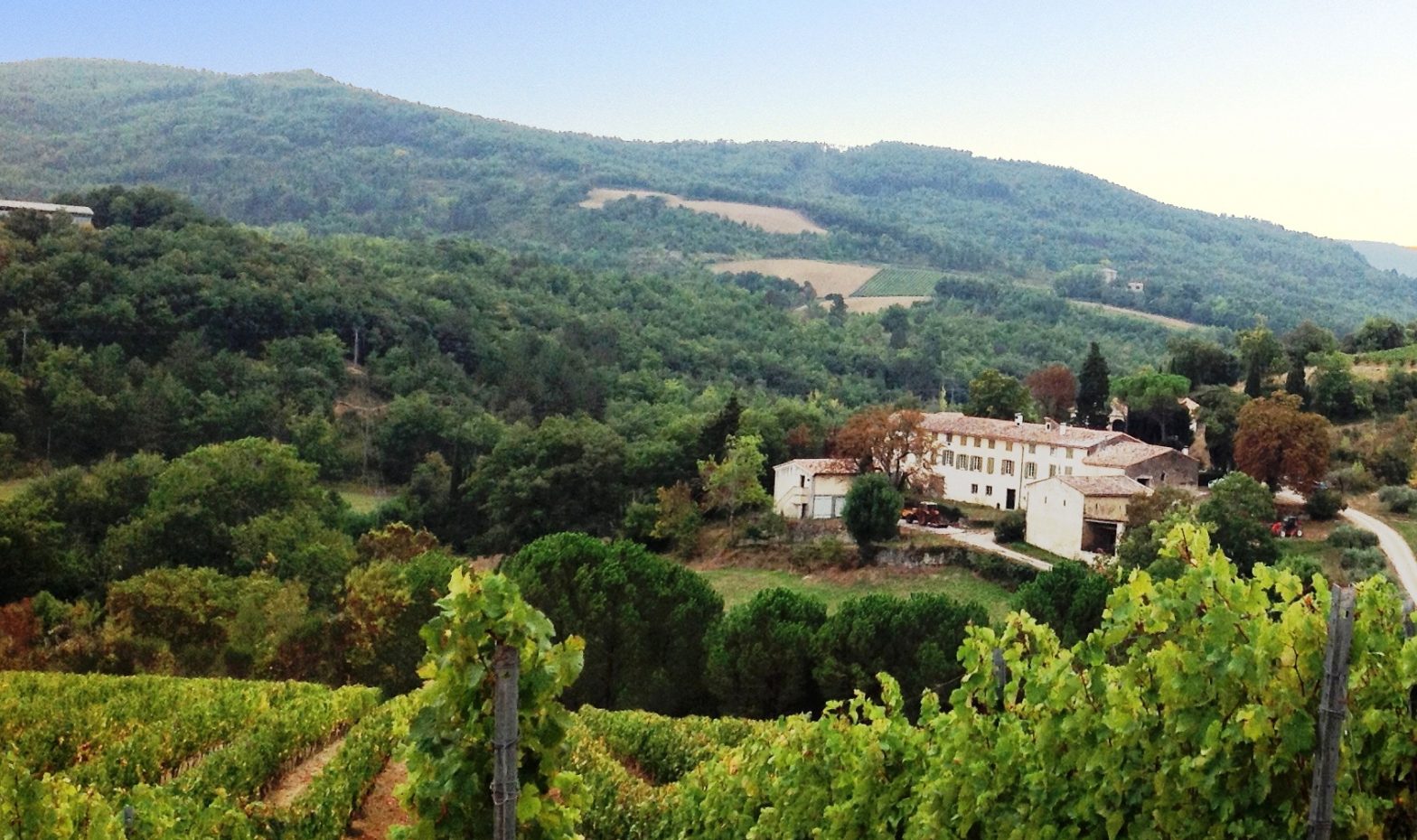 Wine Estates to sell of 70 HA - Languedoc - 1765LR - en