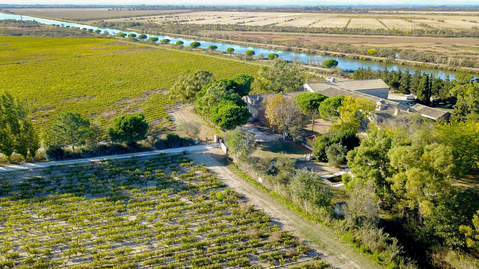 vins des sables domaine viticole vendu