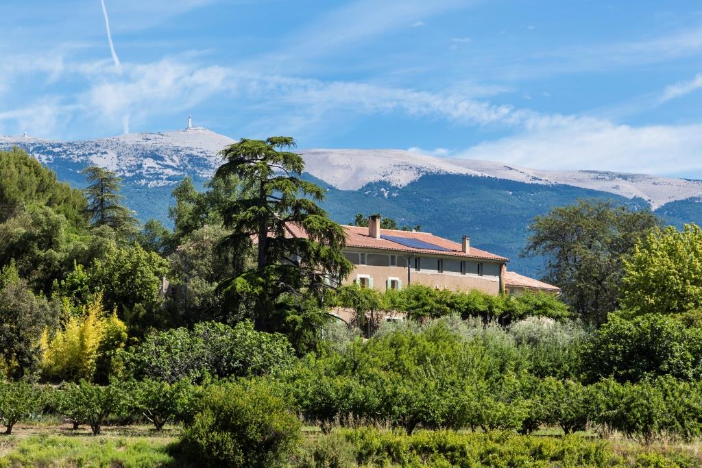 aop ventoux achat domaine viticole famille chancel