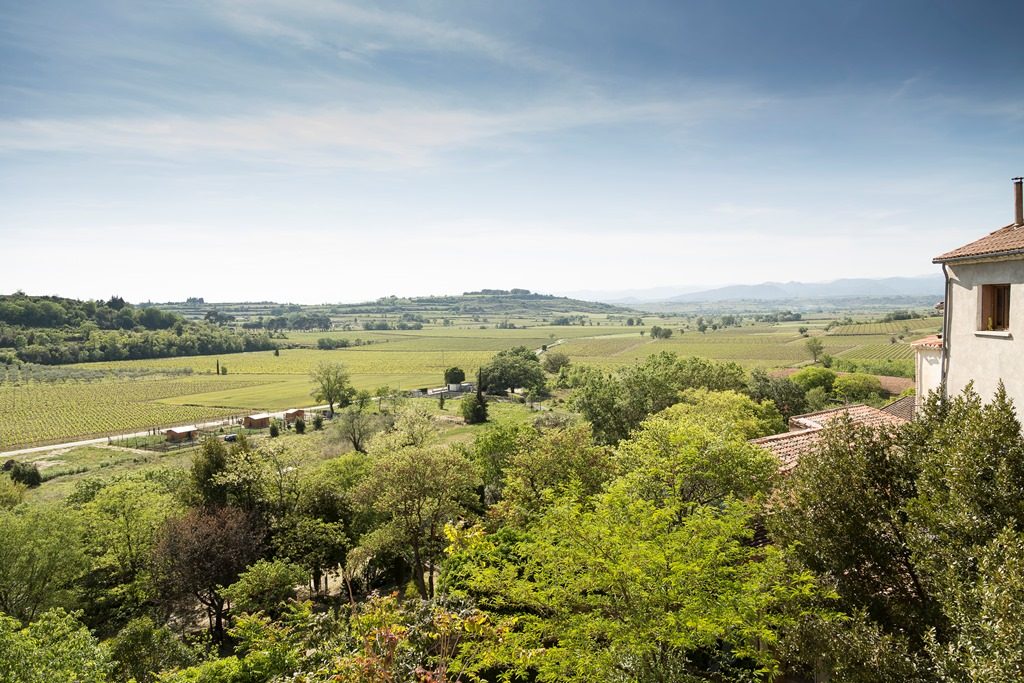 sale of organic wine estate Languedoc investor