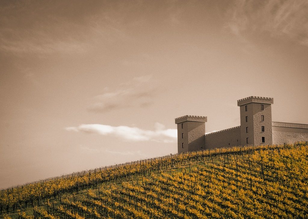 Cave de vinification qui surplombe les vignes