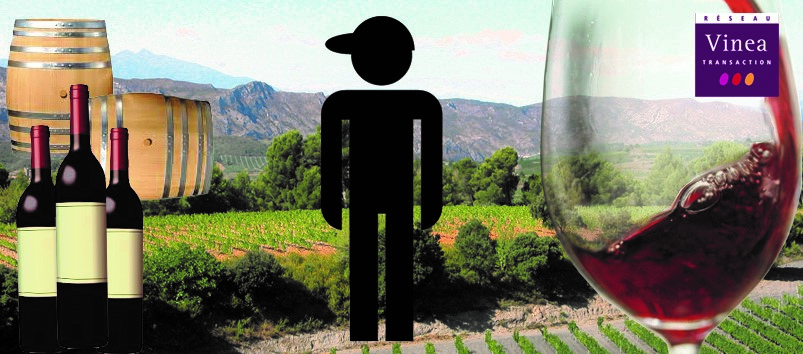 être vigneron ou viticulteur est un métier multicompétence