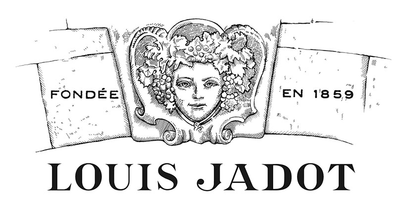 Louis jadot achat domaine viticole bourgogne beaujolais