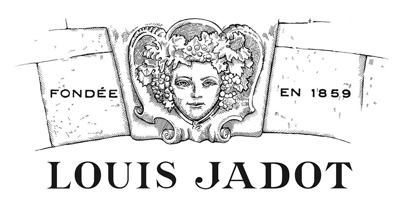 Louis jadot buying burgundy beaujolais wine estate