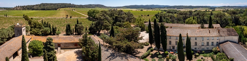 Domaine viticole paysage